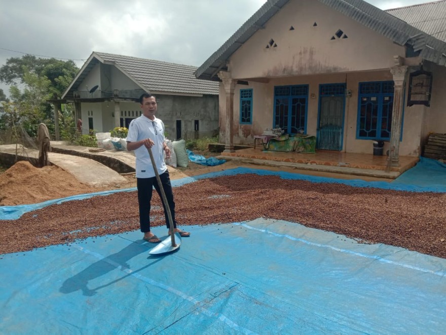 PETANI KOPI DI PEKON WASPADA BERGEBIRA 